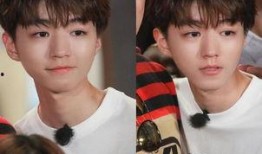 科尔马王俊凯最新爆料,王俊凯最新爆料带你领略欧洲风情”